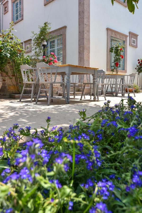 Lunaria Guest House Ayvalı 外观 照片